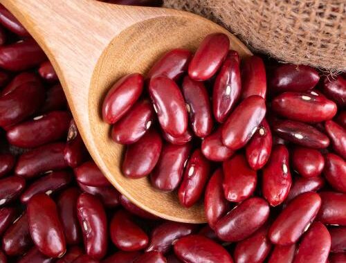 Pérdida de peso con Rajma: ¿Cómo los frijoles pueden ser en realidad una gran adición a su dieta para quemar calorías?